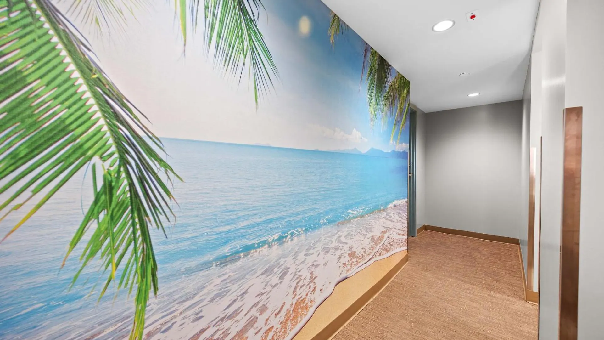 Waikiki Banyan Ocean View Oasis With Free Parking! Apartment Honolulu United States