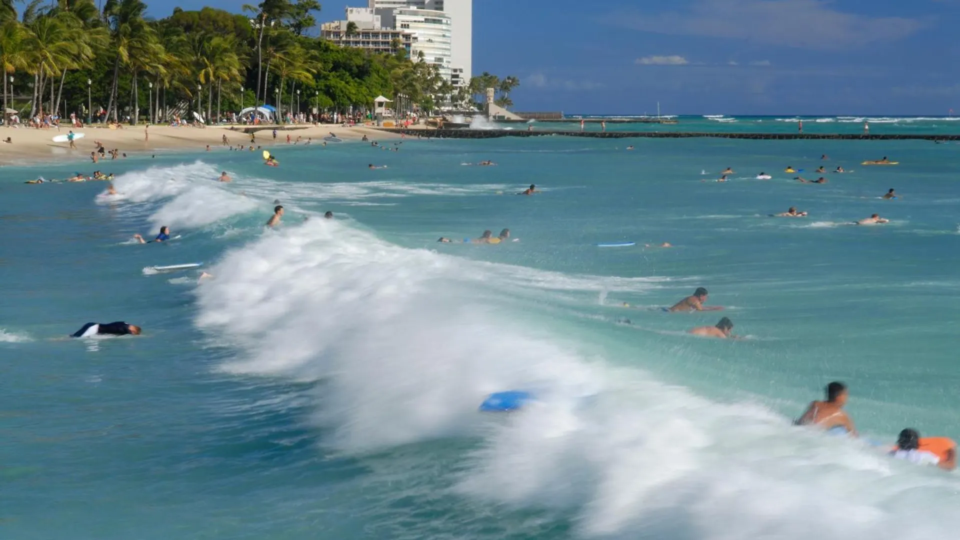 Waikiki Banyan Ocean View Oasis With Free Parking! Apartment Honolulu