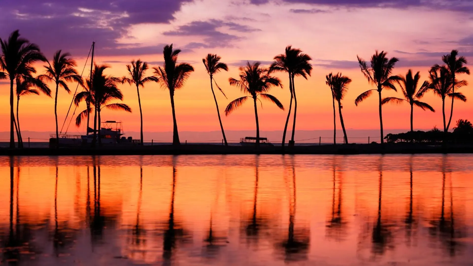Waikiki Banyan Ocean View Oasis With Free Parking! Apartment Honolulu